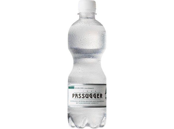 Passugger Theophil 24x0.5L PET EW
