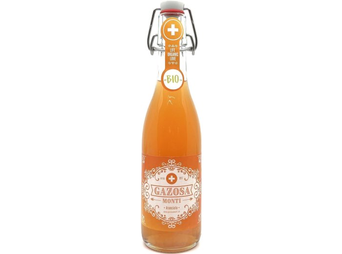 Gazosa Monti Aranciata Bio 20x0.35L Glas MW