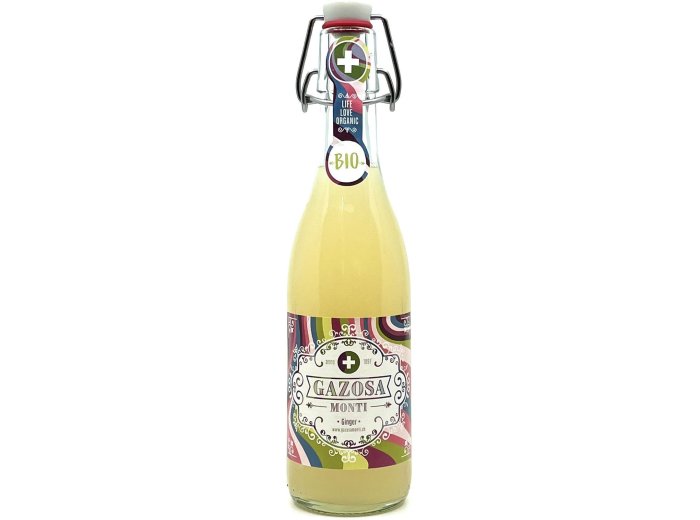 Gazosa Monti Ginger Bio 20x0.35L Glas MW