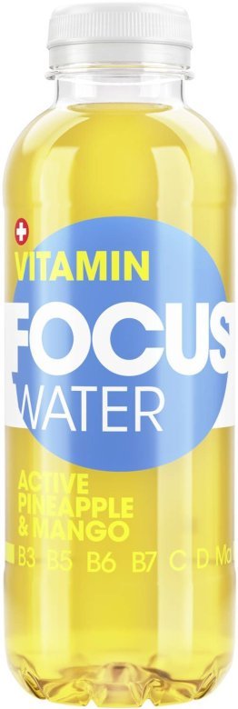 FOCUSWATER Active Ananas 12x0.5L PET EW