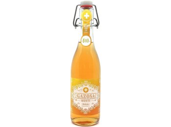Gazosa Monti Mandarino Bio 20x0.35L Glas MW