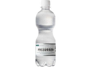 Passugger Theophil 24x0.5L PET EW