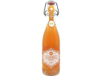 Gazosa Monti Aranciata Bio 20x0.35L Glas MW