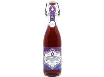 Gazosa Monti Mirtillo Bio 20x0.35L Glas MW