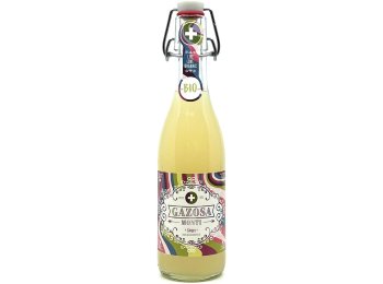 Gazosa Monti Ginger Bio 20x0.35L Glas MW