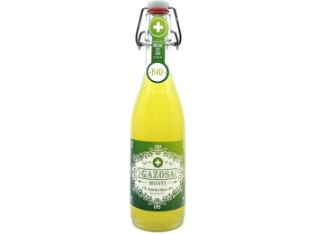 Gazosa Monti Aranciata Amara Bio 20x0.35L Glas MW