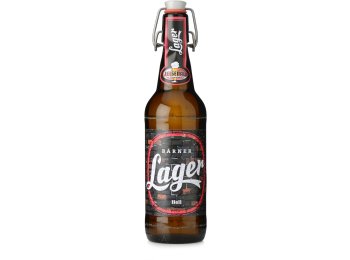 Felsenau Bärner Lager 20x0.5L Glas MW