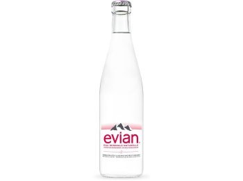 Evian 20x0.5L Glas MW