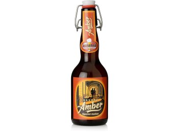 Felsenau Bärner Amber 20x0.33L Glas MW