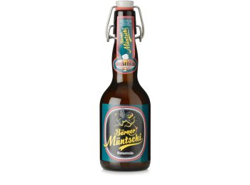 Felsenau Bärner Müntschi 20x0.33L Glas MW
