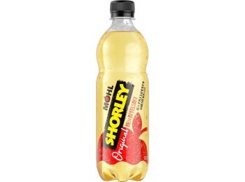 Möhl Shorley Original 24x0.5L PET EW