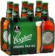 Coopers Pale Ale 24x0.37L Glas EW